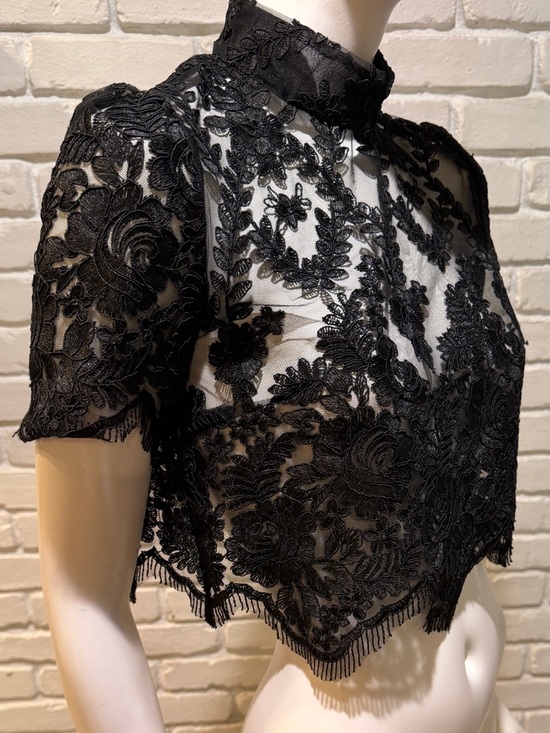 Stone Cold Fox Black Embroidered Lace Crop Top M Mock Neck Sheer Luxe NWOT - Picture 10 of 13